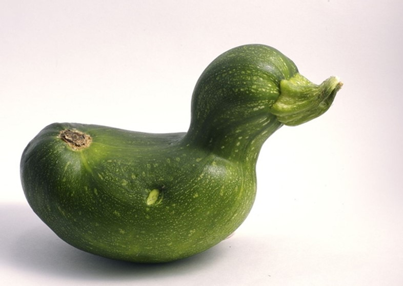 Duck courgette