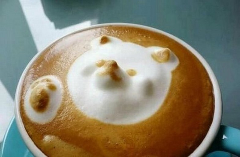 Latte bear