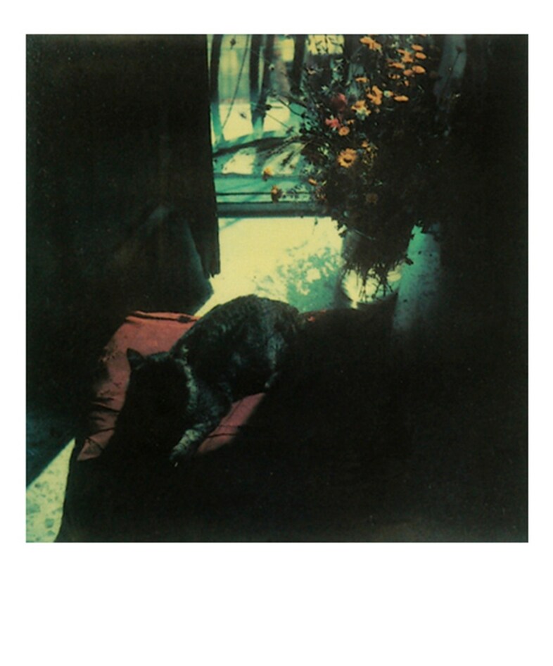 Polaroid by Andrei Tarkovsky, 1979-84