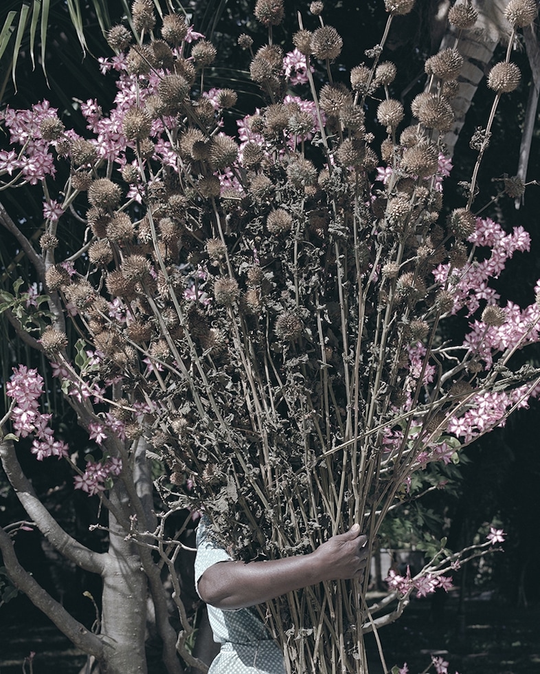 Jackie Nickerson, Mavis, 2013