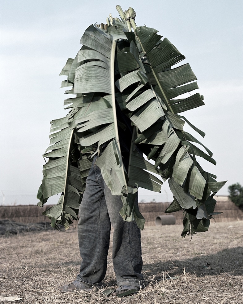 Jackie Nickerson, David, 2012