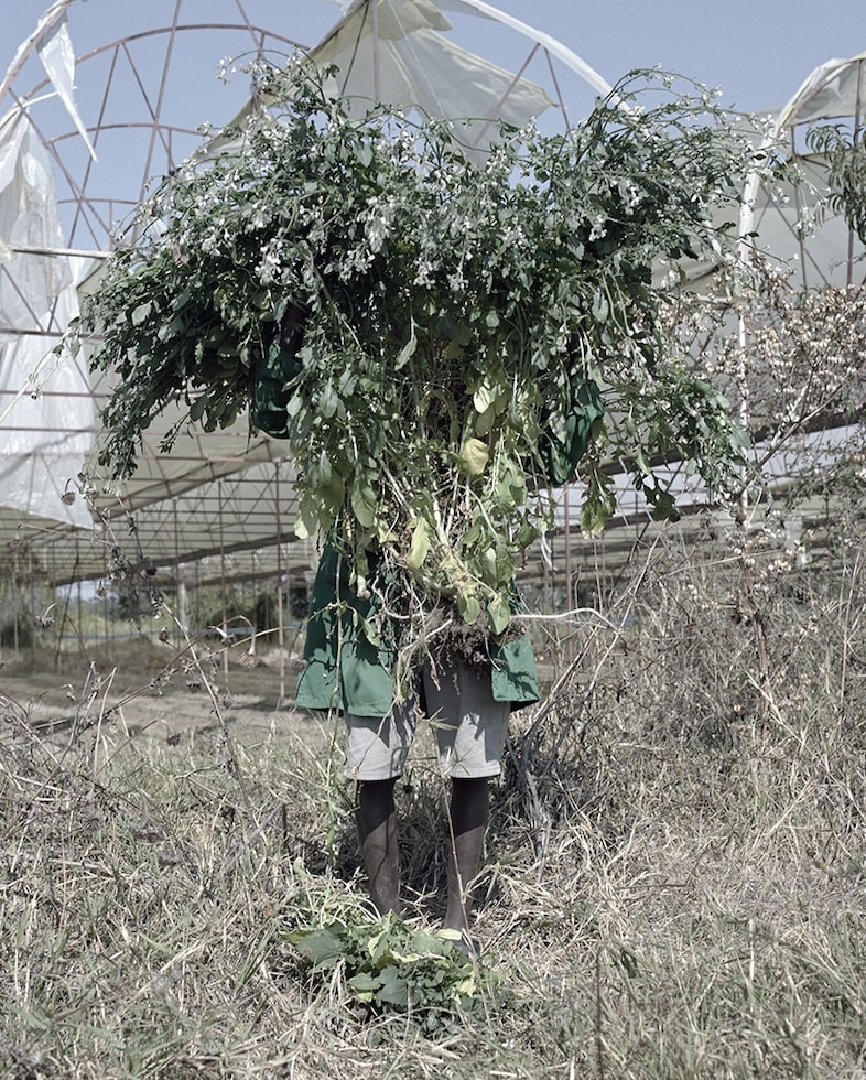 Jackie Nickerson, Lovemore, 2013