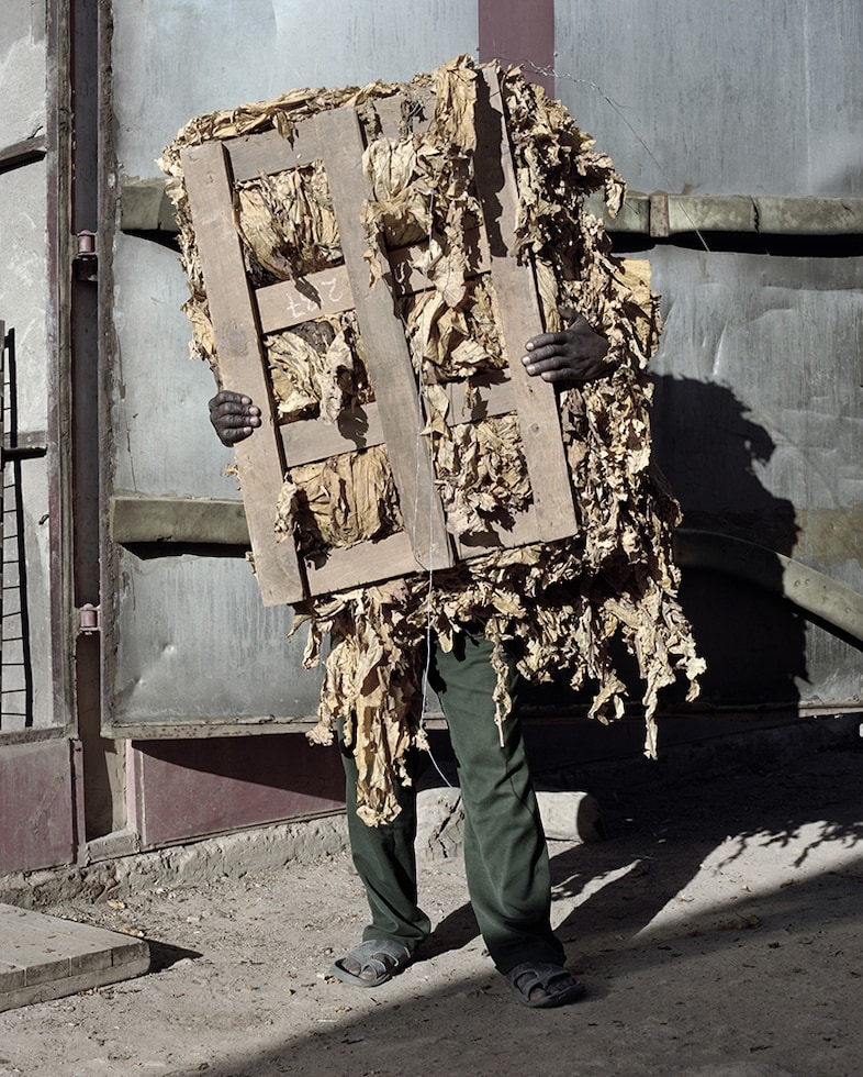 Jackie Nickerson, Shine, 2013