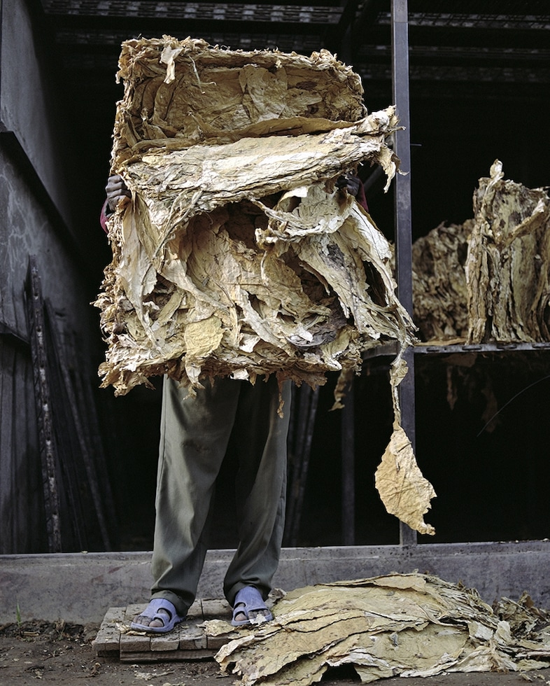 Jackie Nickerson, Sililo #2, 2013