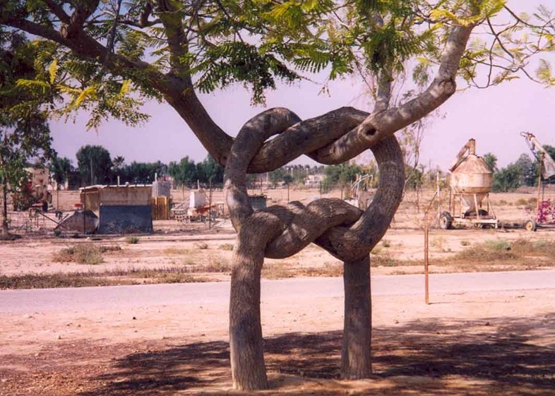 Tree knots