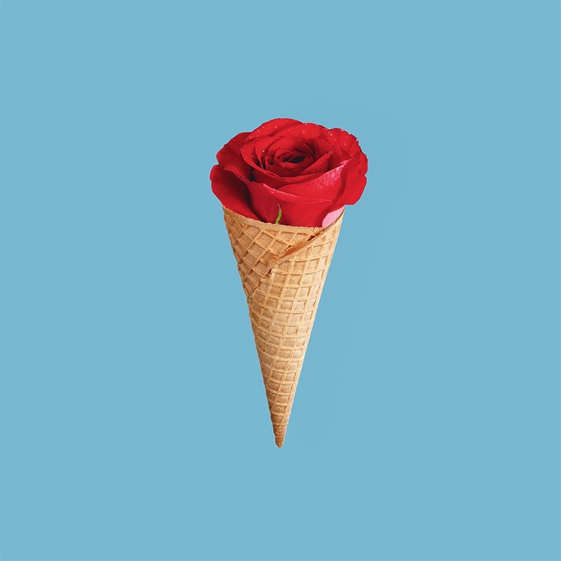 Rose in a cone