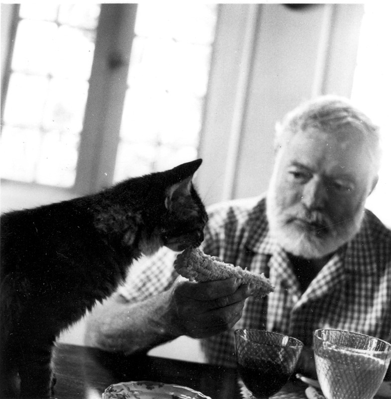 Ernest Hemingway feeds one of his cats at his villa Finca Vi