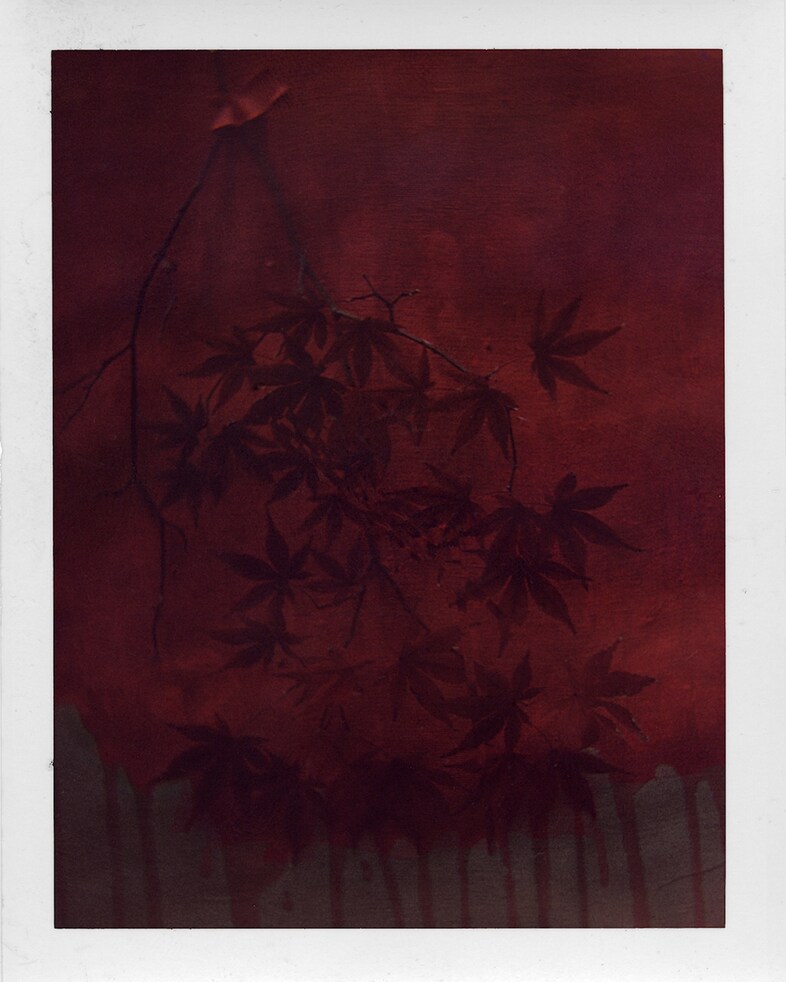 L’&#233;t&#233; indien, 2010