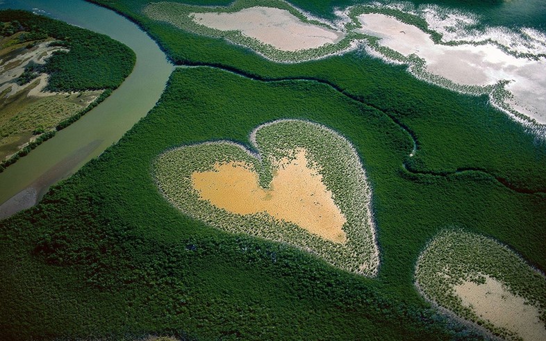 Heart in Voh, New Caledonia