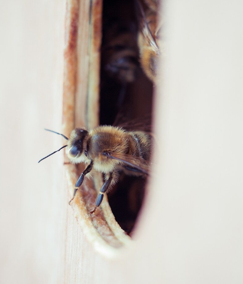 &#169; Stephanie Sian Smith