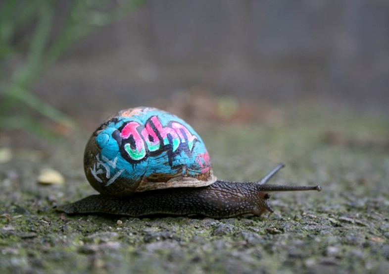 One of Slinkachu&#39;s Snails