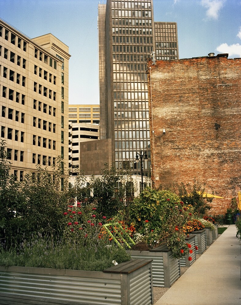 Community Gardens, Detroit, Michigan 2013