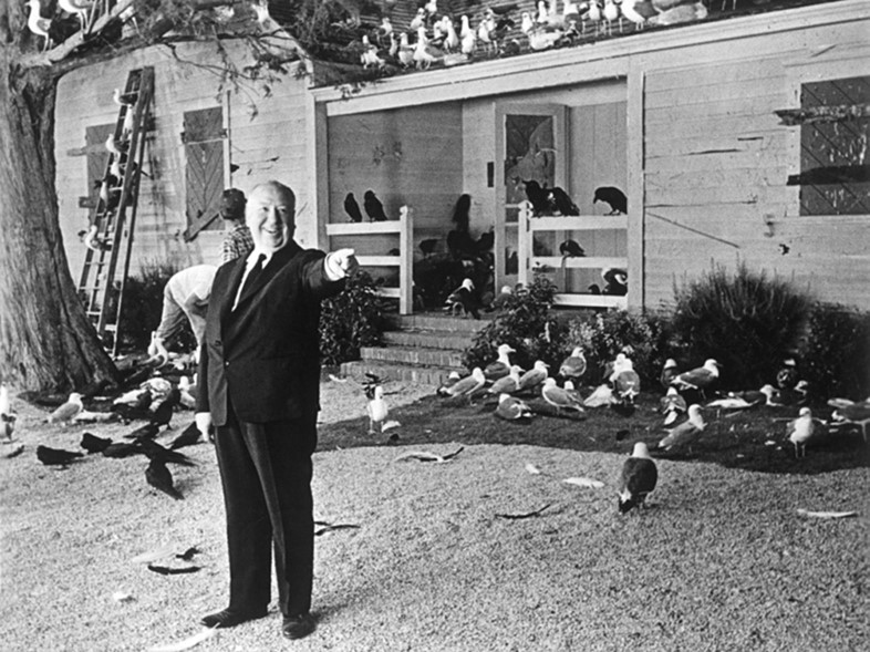 Alfred Hitchock on the set of The Birds, 1963