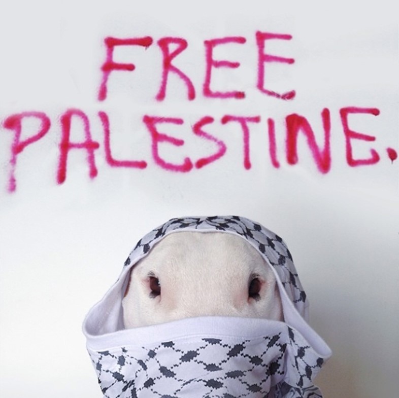 Free Palestine Bull Terrier