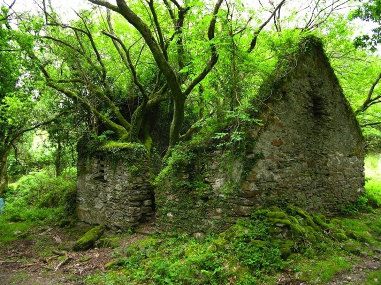 A house on the Kerry Way in Ireland