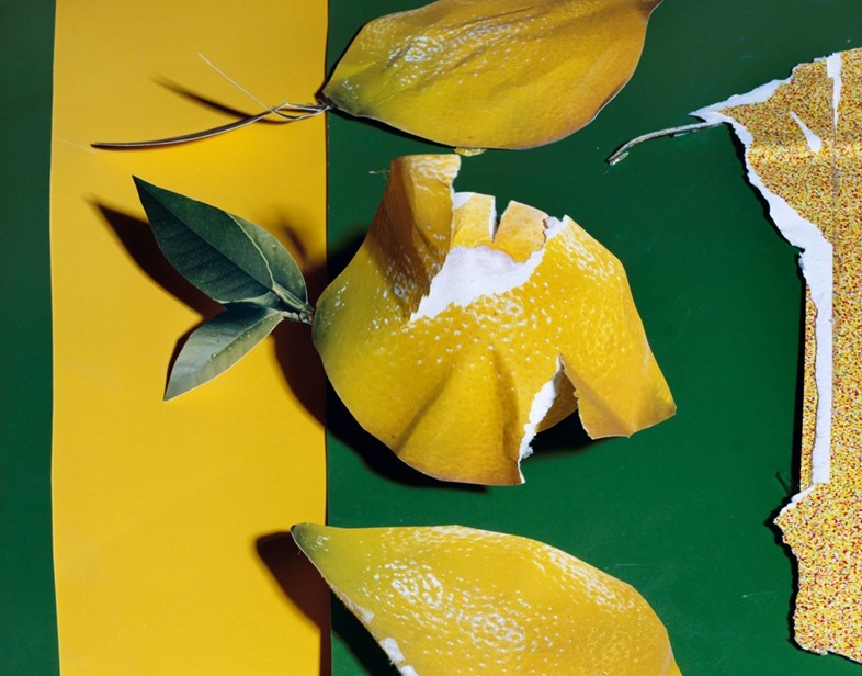 Lemons, 2013