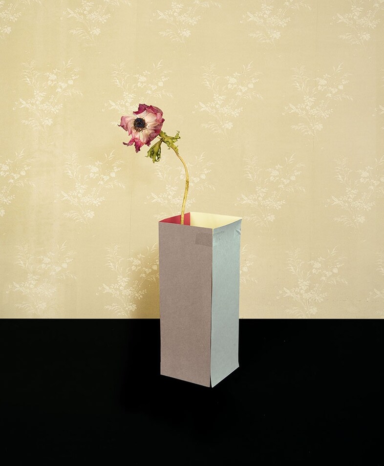 Martina Lindqvist, Murmurs, Untitled #7, 2014