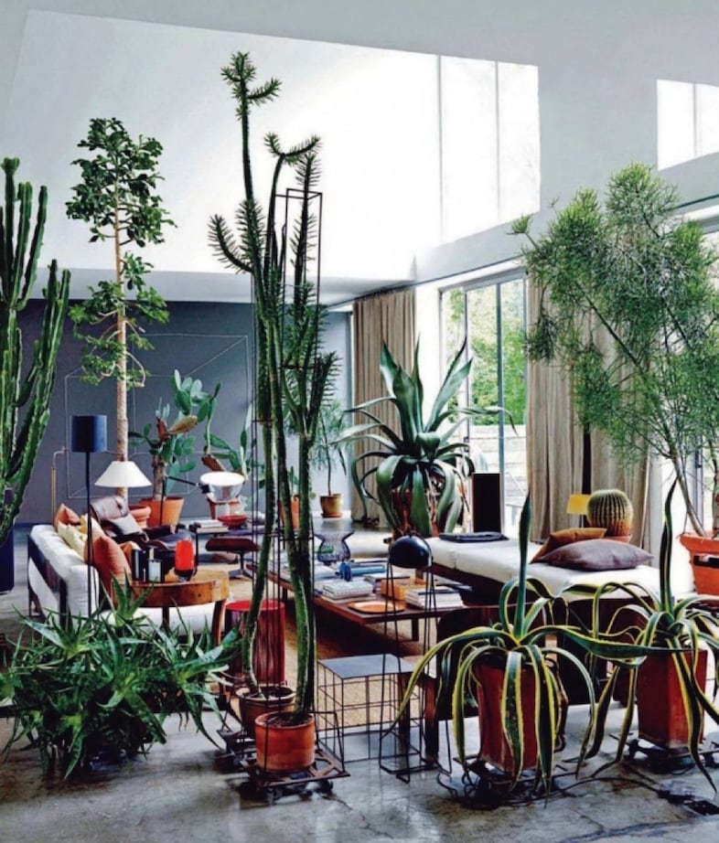Maurizio Zucchi&#39;s Cacti Lounge