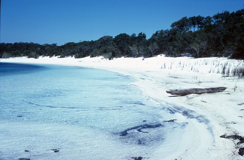 Bright white sand, Lake Mckenzie, Australia