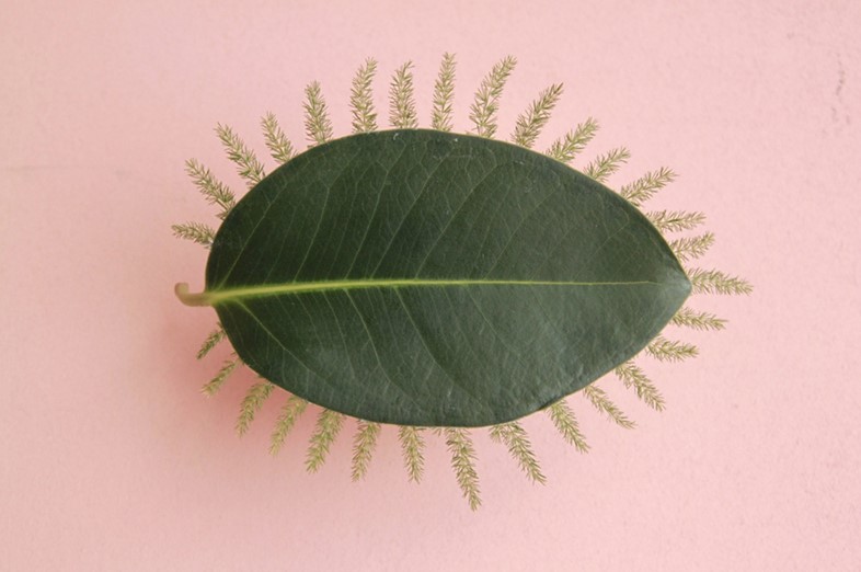 Leaf Lashes