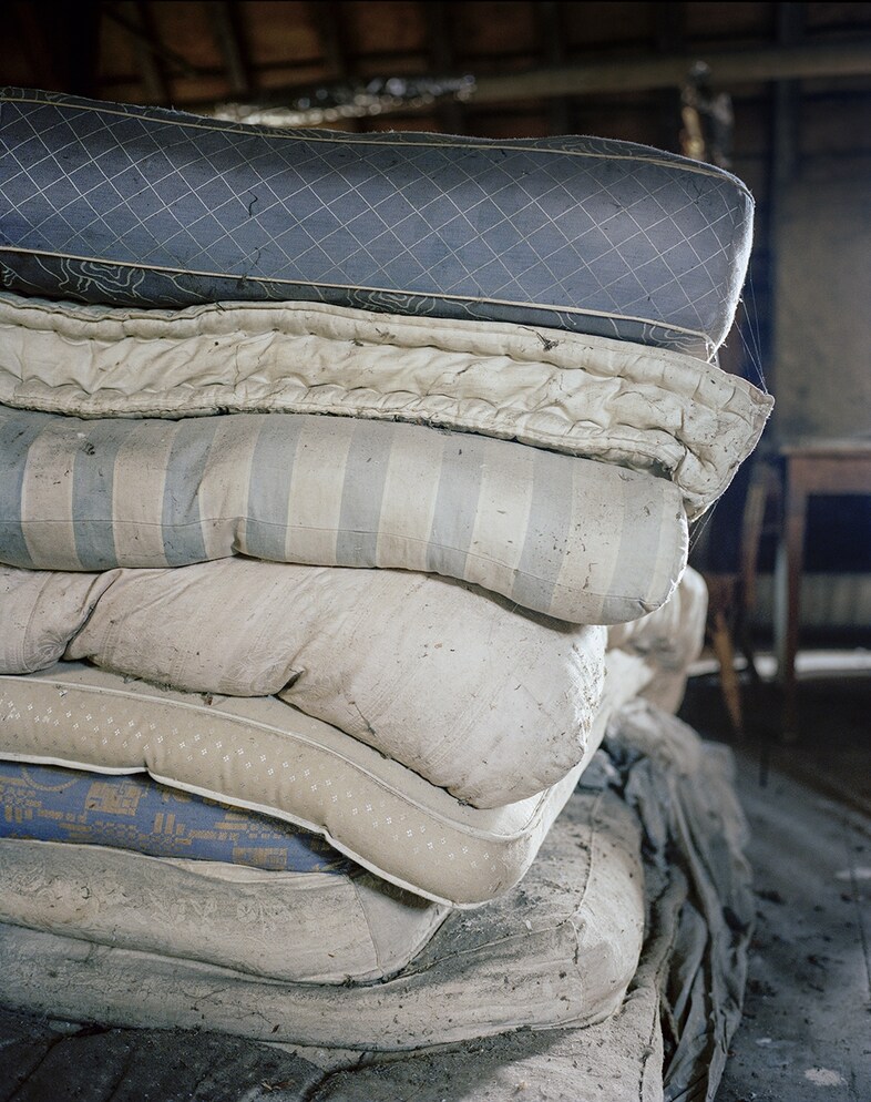 Collection, 2013