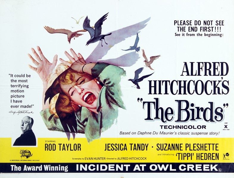 Alfred Hitchcock&#39;s &#39;The Birds&#39;