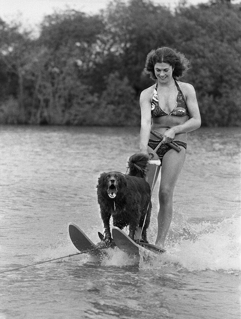Out on the Lake, 1984