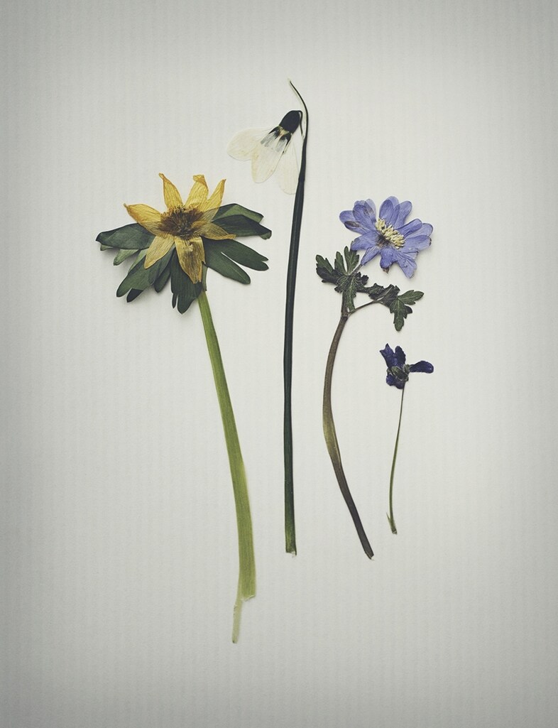 Blossom Flatware, 1919