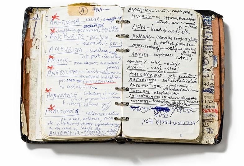 Nick Cave&#39;s Handwritten Dictionary