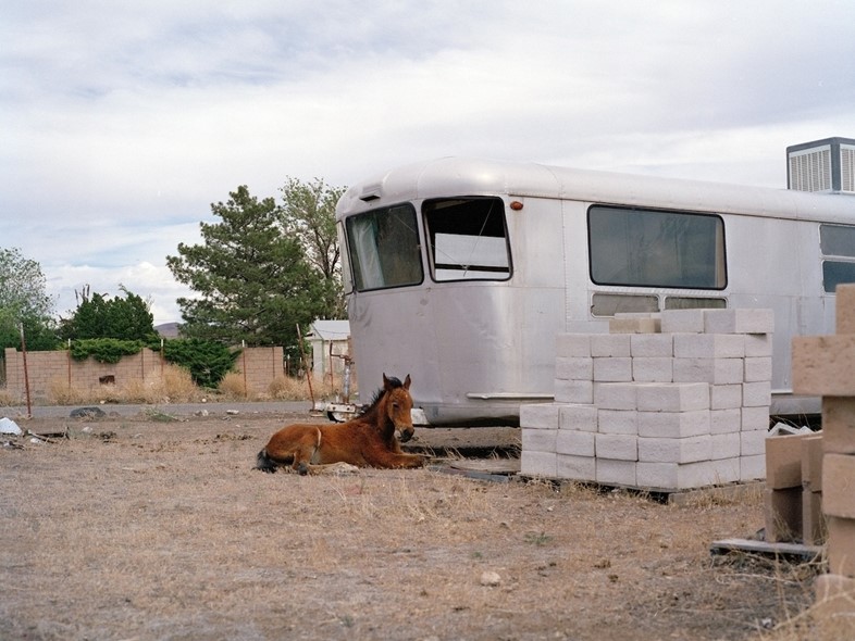 Charlotte Dumas, Iroquois Trail Stagecoach NV, 2013