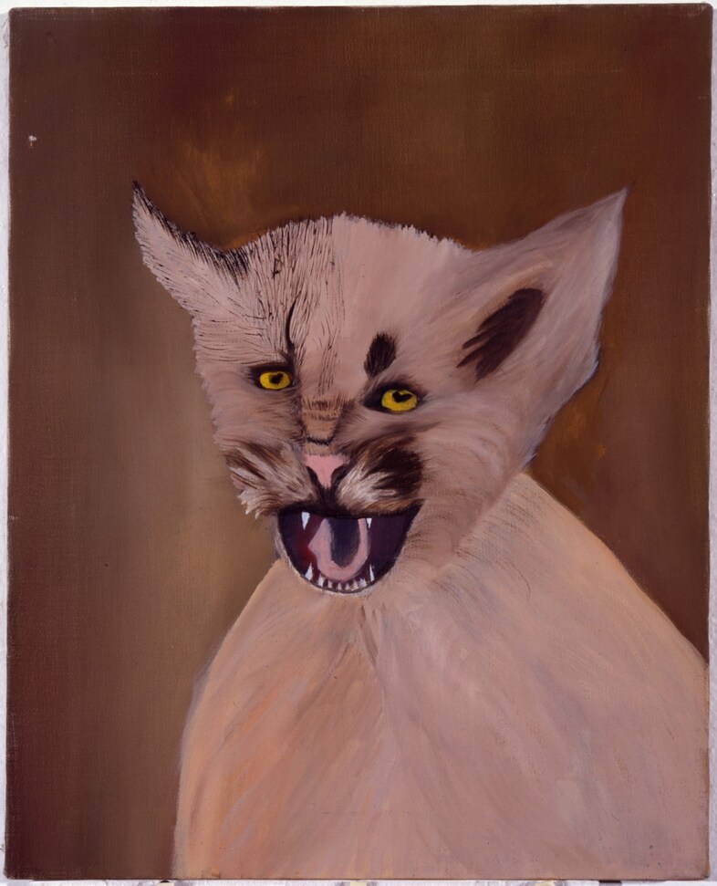 Pink Mountain Lion on Brown Background, Collection of Eric D