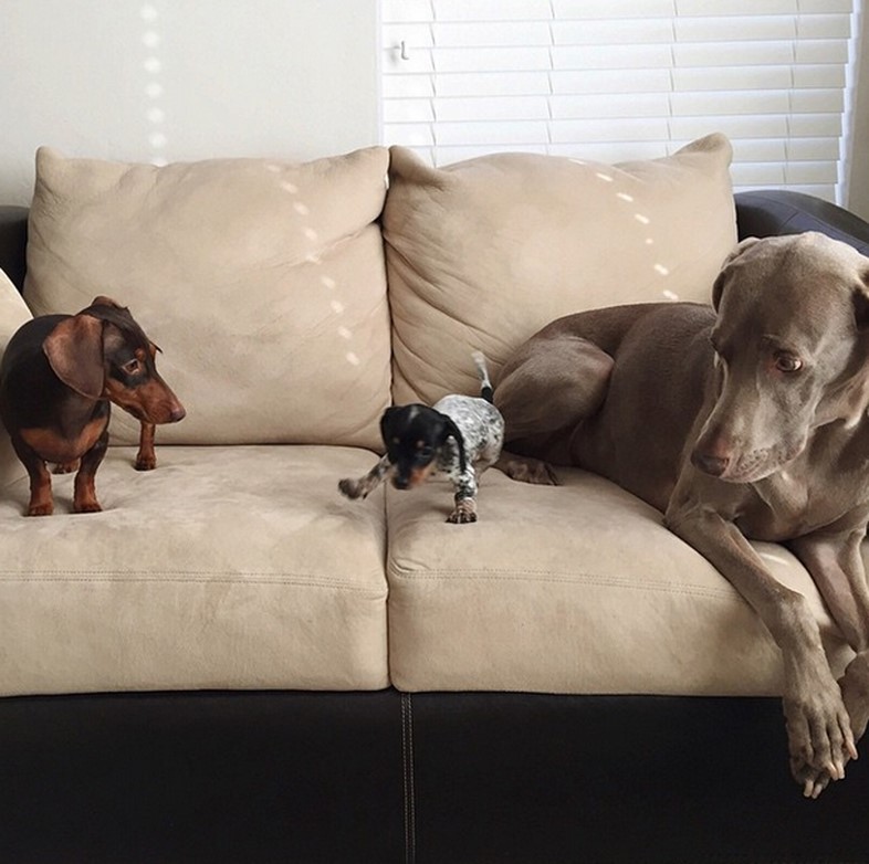 Harlow and Indiana and Reese meeting