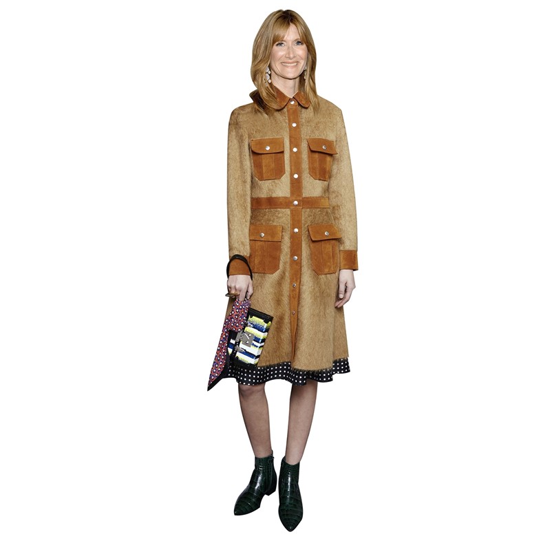 Laura Dern wearing Louis Vuitton Pre-Fall 2015