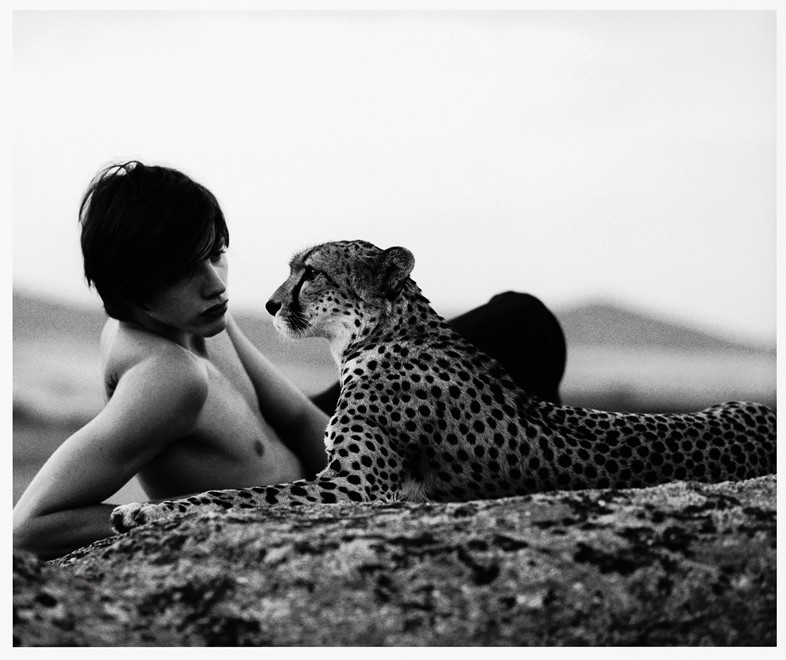 A cheetah in AnOther Magazine A/W05