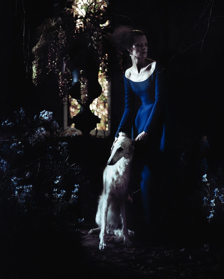 A greyhound in AnOther Magazine A/W13