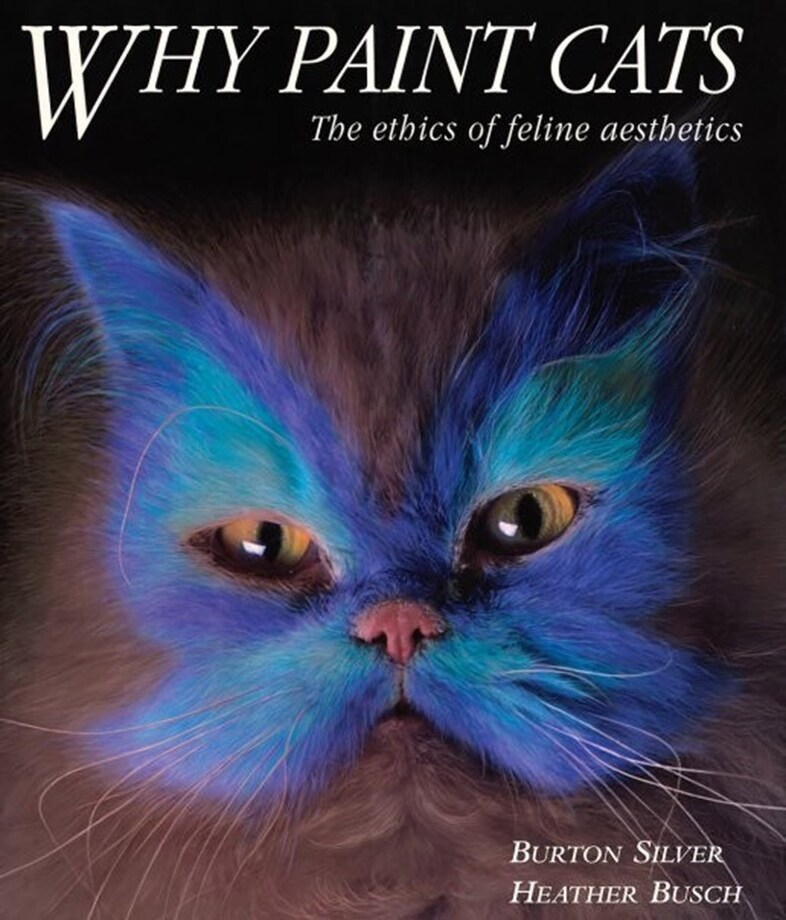 Why Paint Cats by Burton Silver &amp; Heather Busch