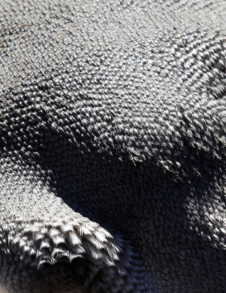 thomaslohr_Birds_09