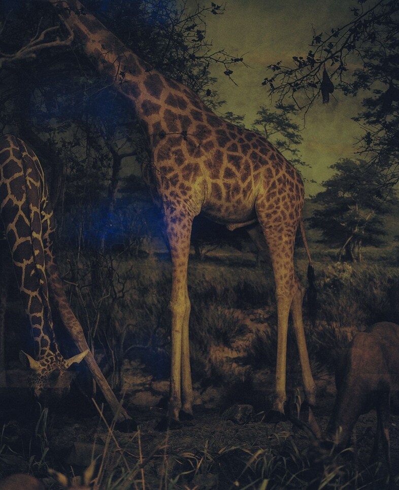 tomjohnson-another003