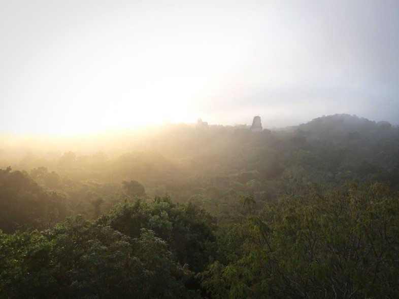 Where On Earth: Tikal Schizo form