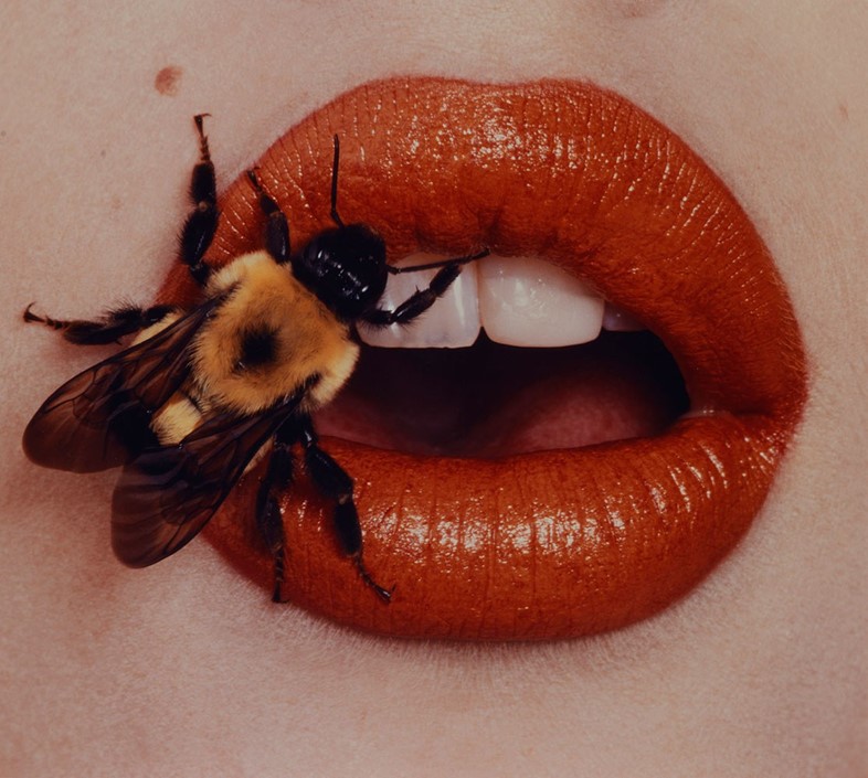 Irving Penn, Bee, New York, 1995