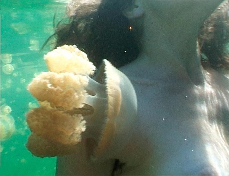 Dorothy-Cross,-Jellyfish-Lake-(still),-2002