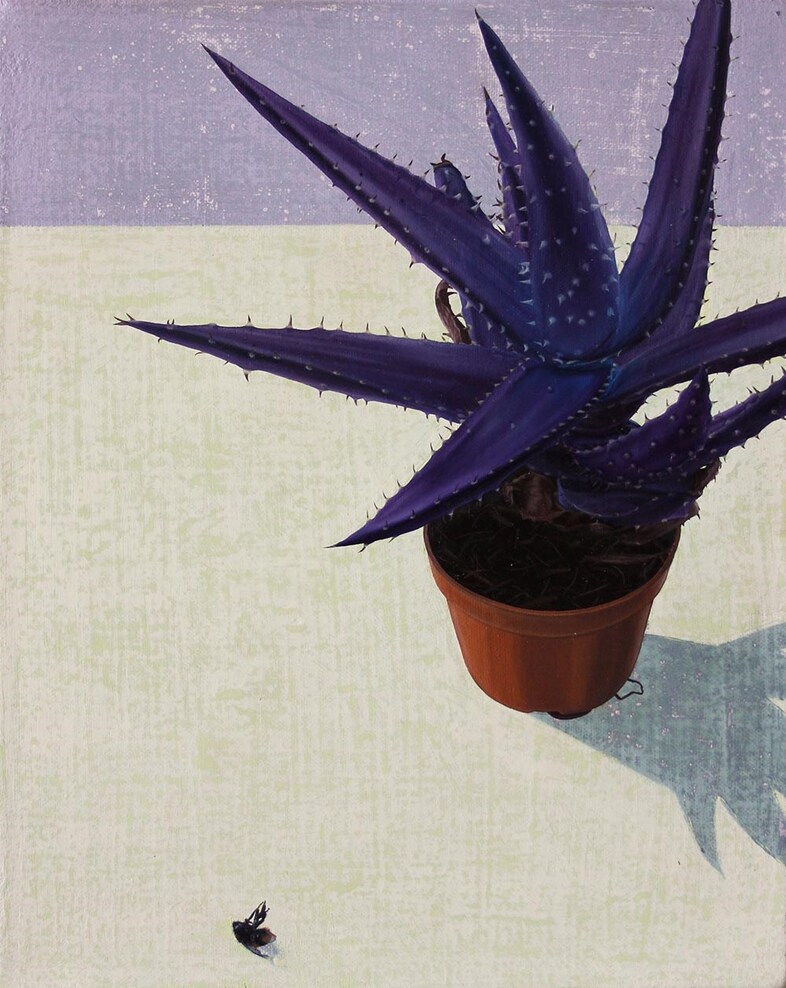 Save-the-Cacti-8-x-10-inches