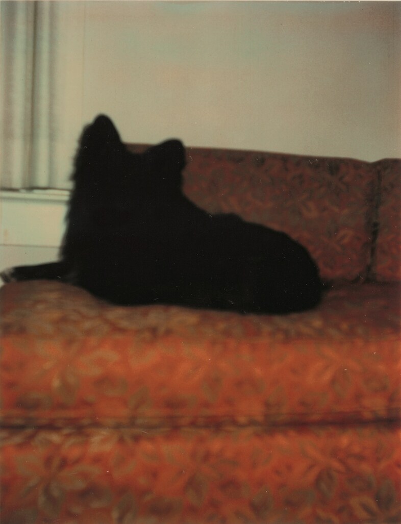 Erik Kessels_In almost every picture