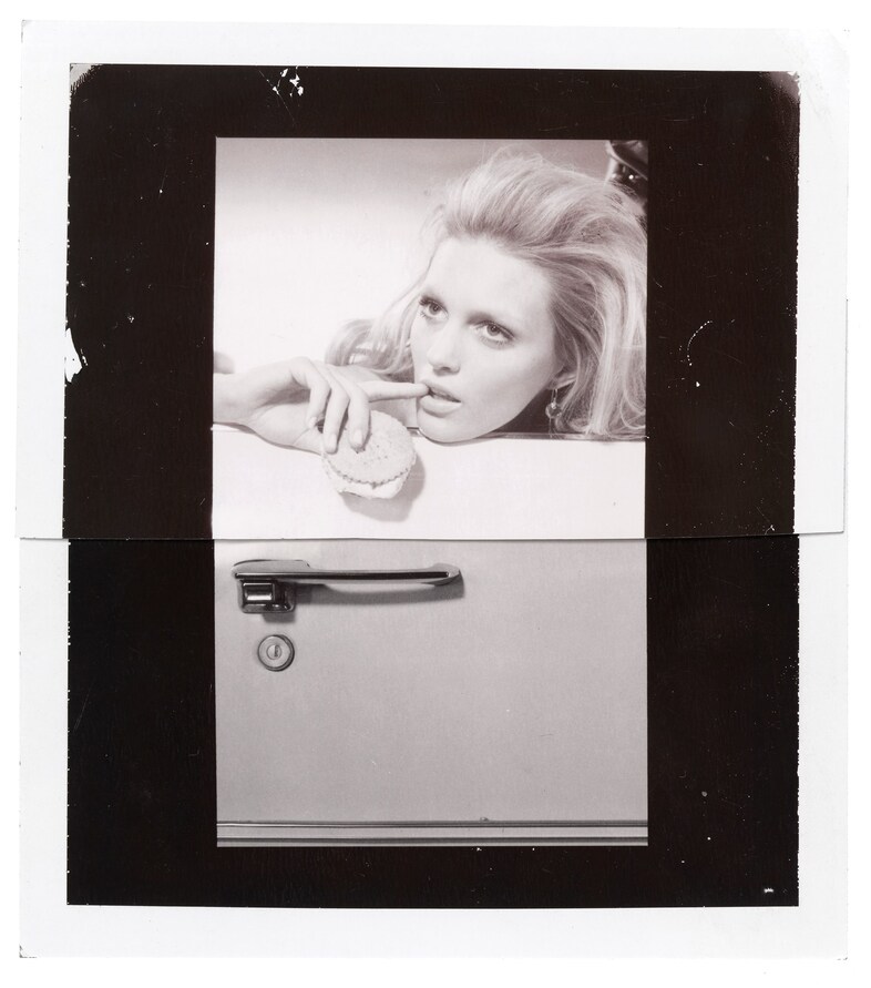 Trunk Food - study, 2007, courtesy of Miles Aldrid