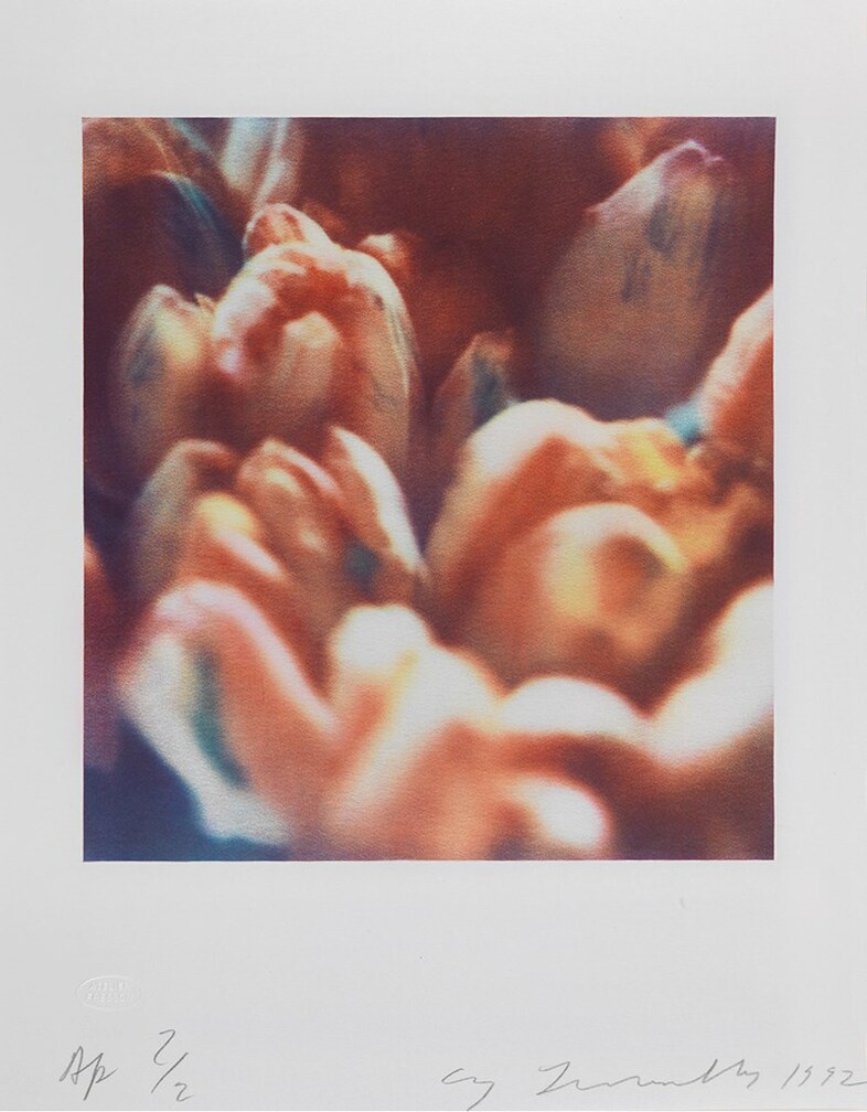 TWOMB 1985.Tulips II A