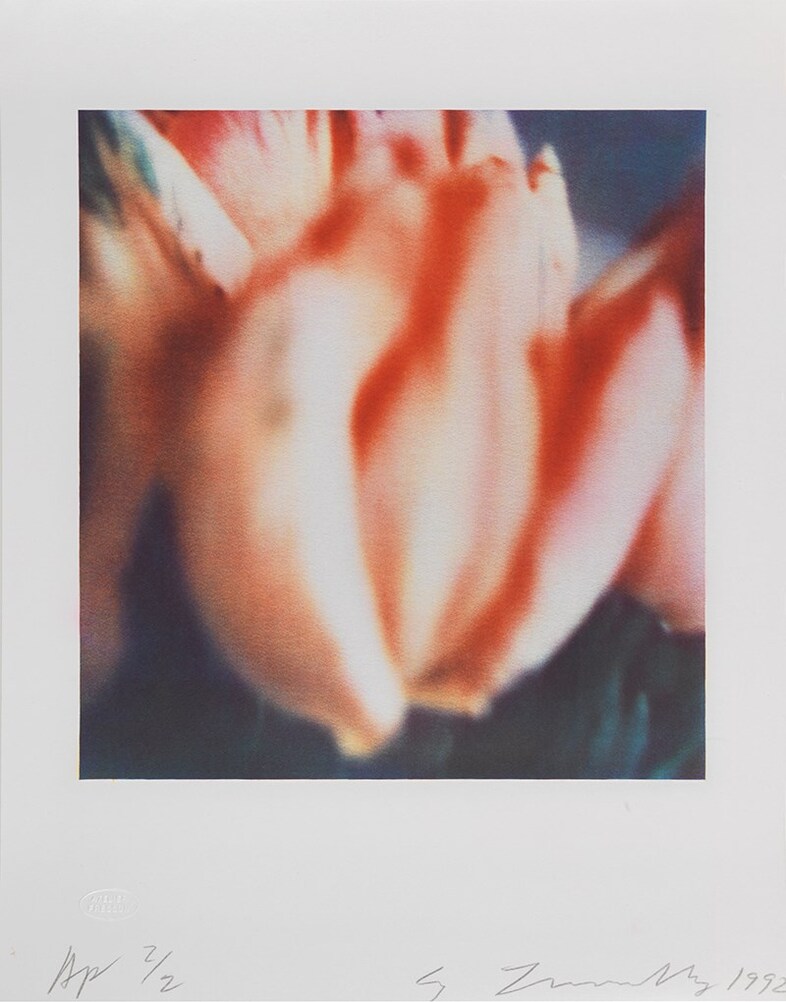 TWOMB 1985.Tulips II B
