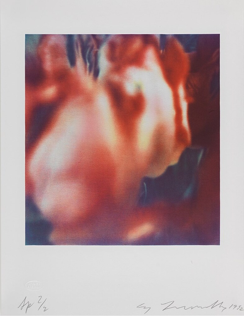TWOMB 1985.Tulips II D