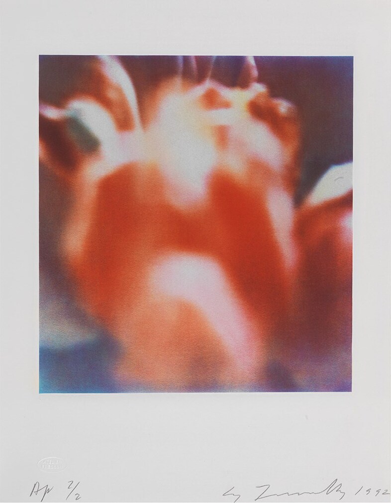 TWOMB 1985.Tulips II E