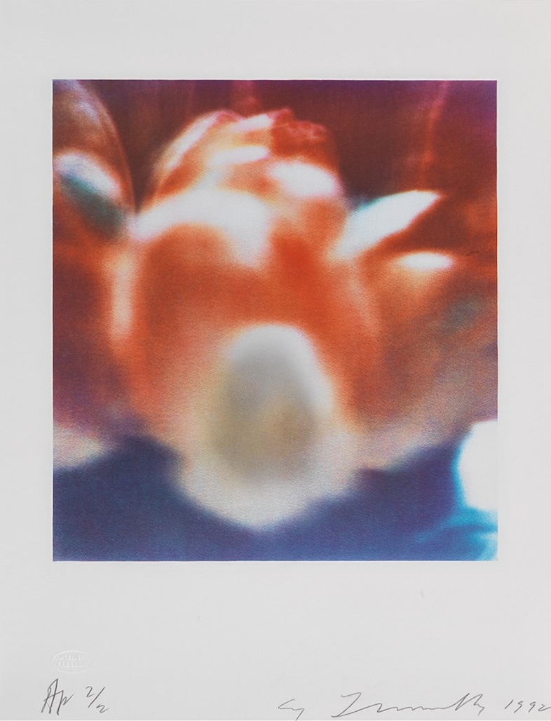 TWOMB 1985.Tulips II F