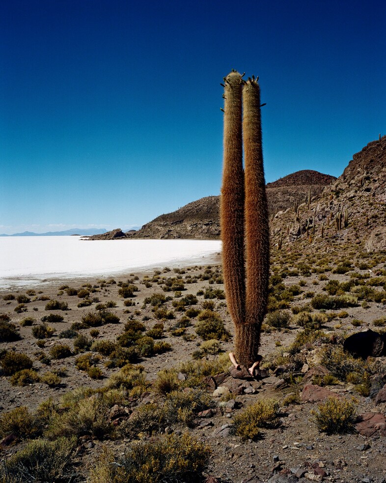 Discovery, 2006, Bolivia, (c) Scarlett Hooft Graaf